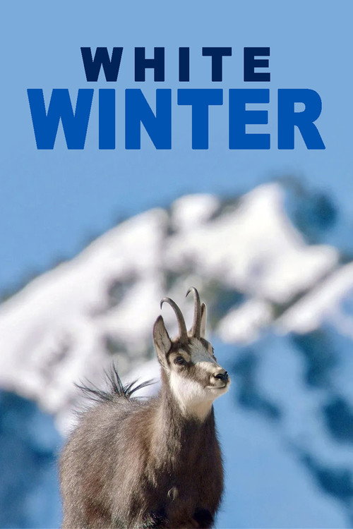 Movie poster for White Winter (2022)