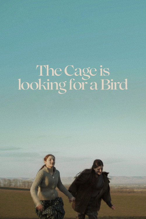 Movie poster for The Cage is Looking for a Bird (2023)
