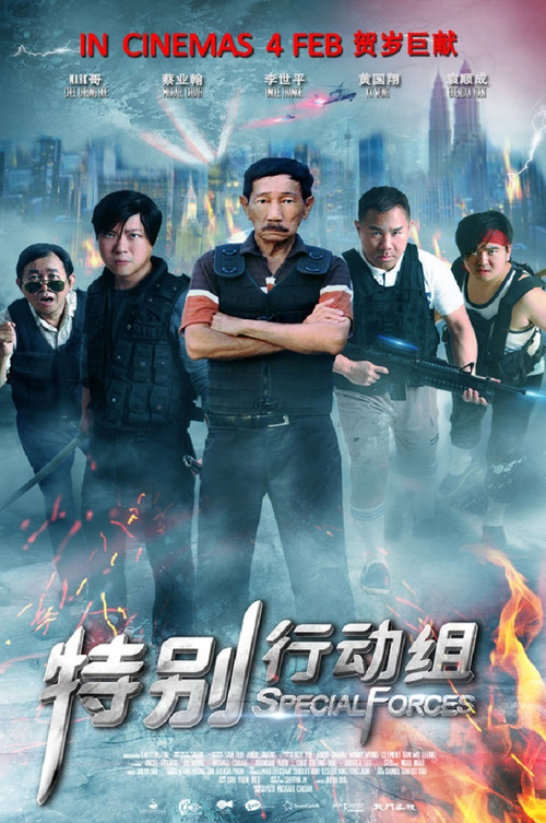 Movie poster for Special Forces (2016)