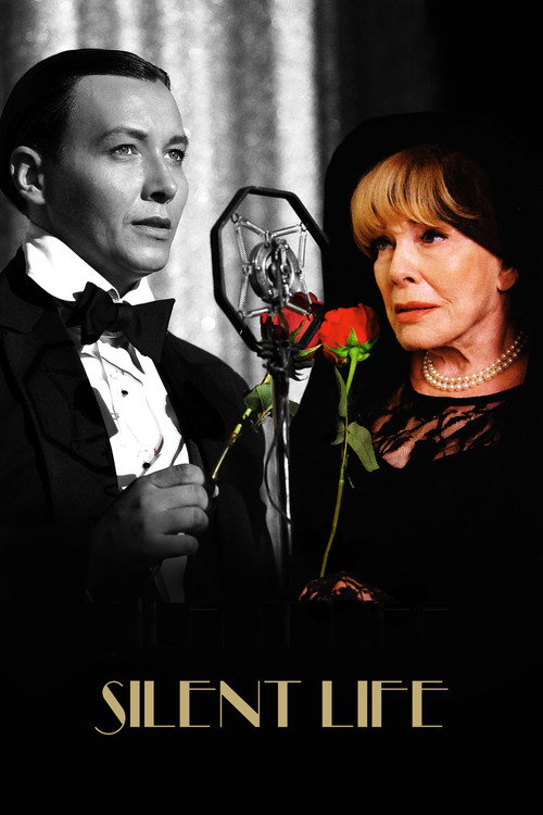 Movie poster for Silent Life: The Story of the Lady in Black (2023)