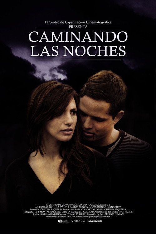 Movie poster for Caminando las noches (2012)