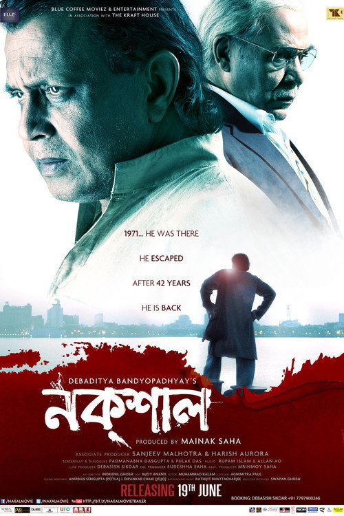 Movie poster for Naxal (2015)