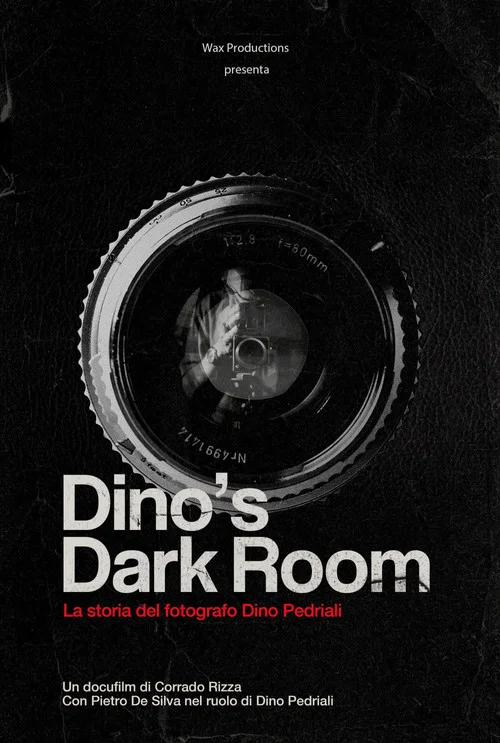 Movie poster for Dino's dark room