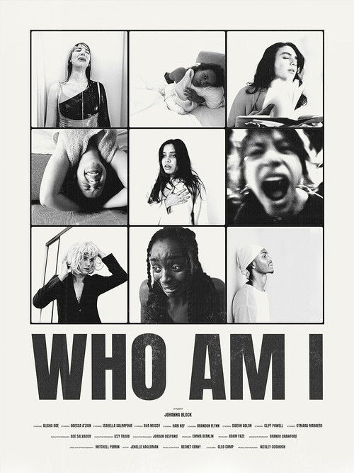 Movie poster for Who Am I? (2024)
