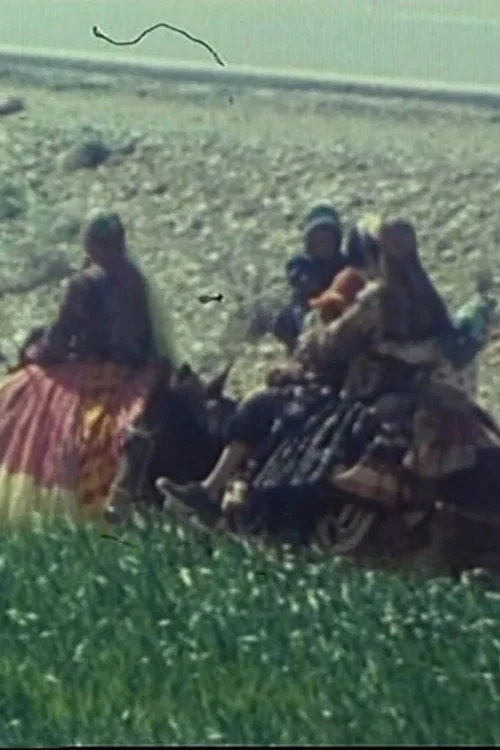 Movie poster for Qashqai Kilim (1981)