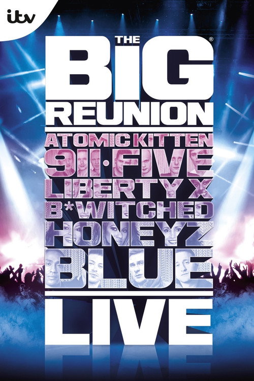 Movie poster for The Big Reunion Live (2013)