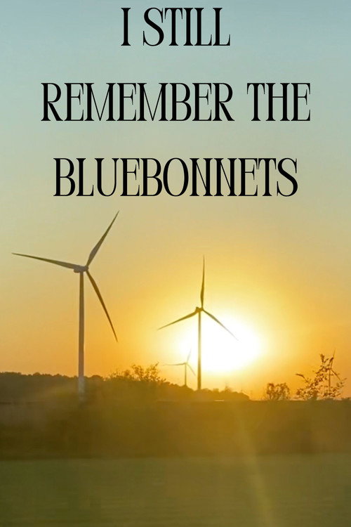 Movie poster for I Still Remember The Bluebonnets