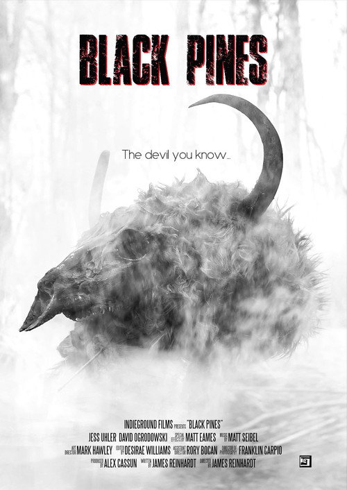 Movie poster for Black Pines (2022)