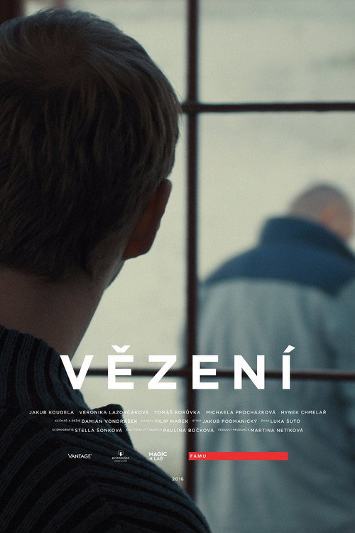 Movie poster for Vězení (2016)