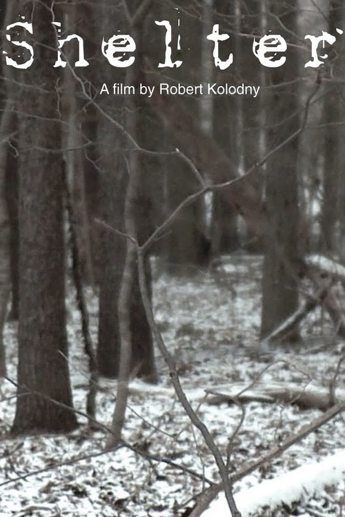 Movie poster for Shelter (2010)