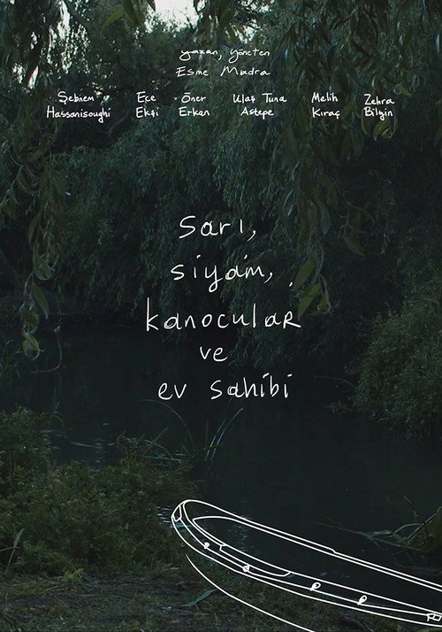 Movie poster for The Yellow, The Cat, The Kayakers and The Host (2020)