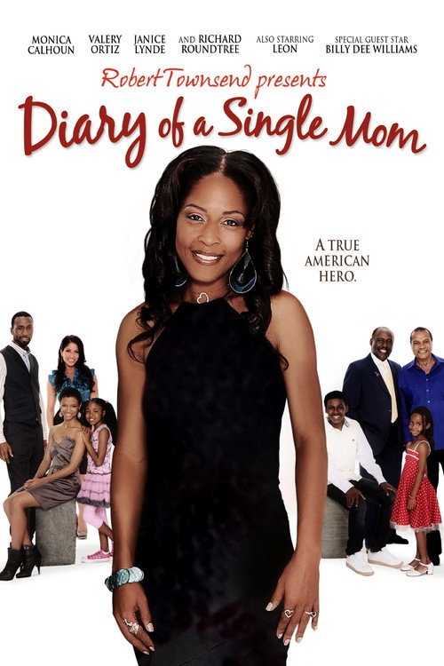 Movie poster for Diary of a Single Mom (2009)