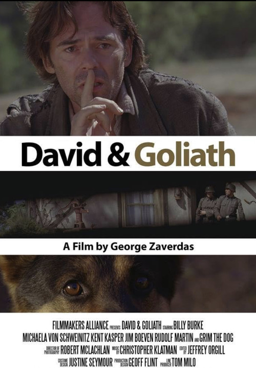 Movie poster for David and Goliath (2010)