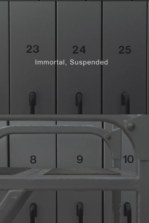 Movie poster for Immortal, Suspended (2013)