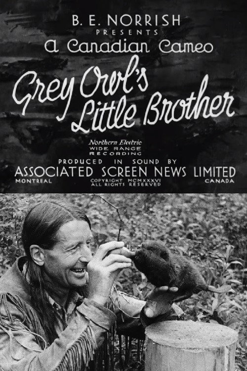 Movie poster for Grey Owl's Little Brother (1932)