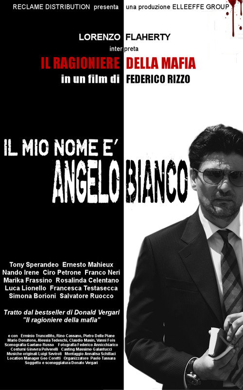 Movie poster for Il ragioniere della mafia (2013)