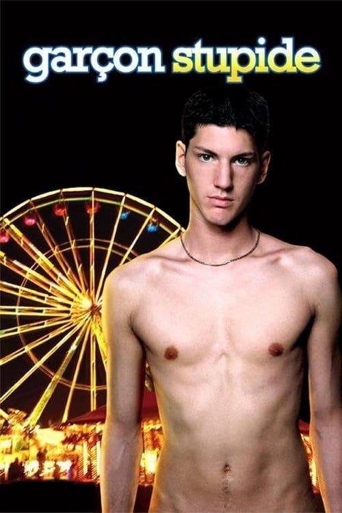 Movie poster for Stupid Boy (2004)