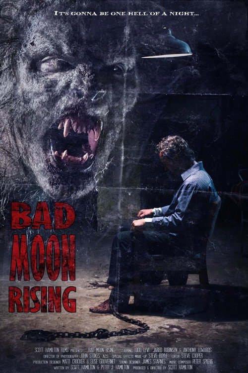 Movie poster for Bad Moon Rising (2011)