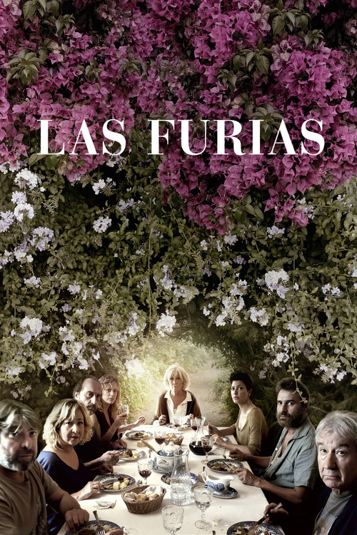 Movie poster for The Furies (2016)