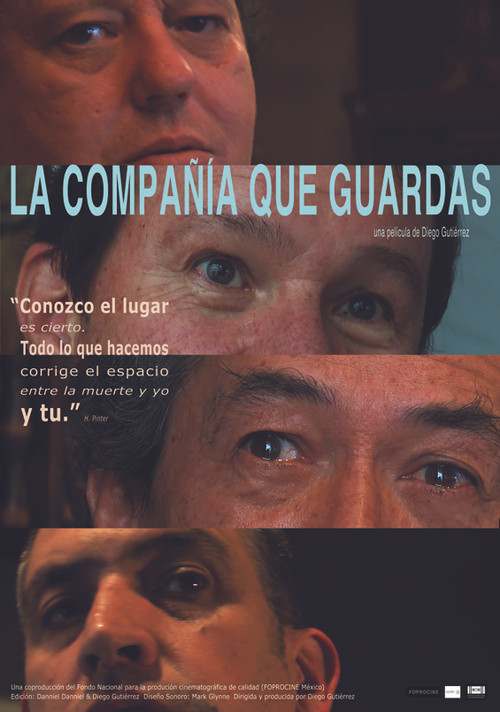 Movie poster for The Company You Keep (2017)