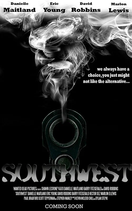 Movie poster for Southwest (2013)