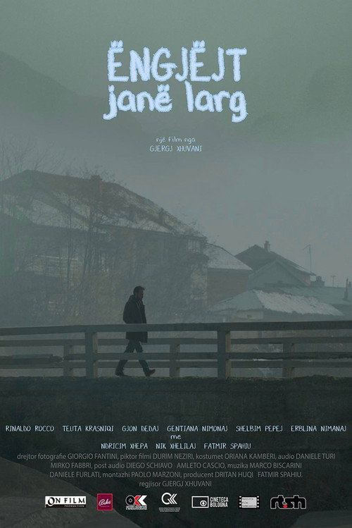 Movie poster for Distant Angels (2017)