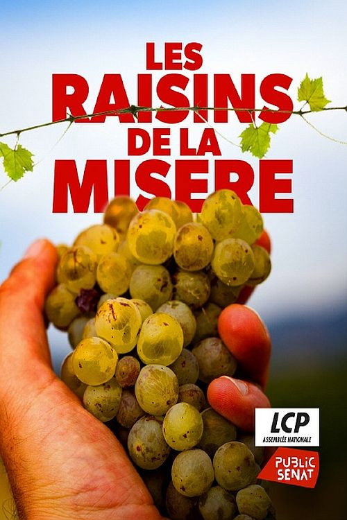Movie poster for Les raisins de la misère (2021)