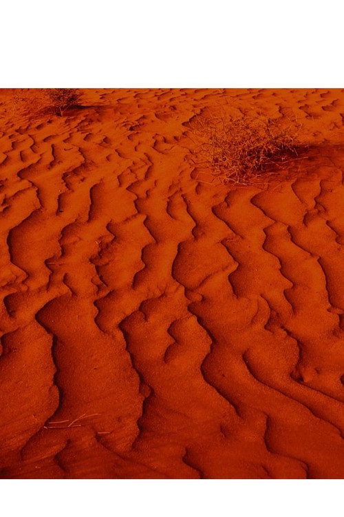 Movie poster for Exile & Desertification