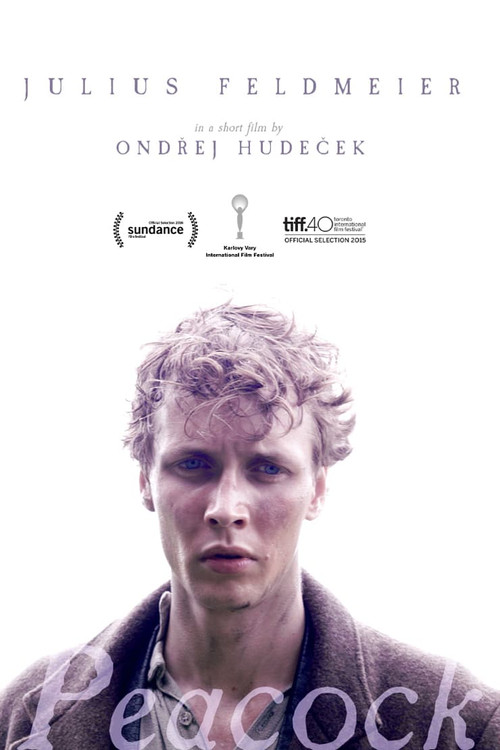 Movie poster for Peacock (2024)