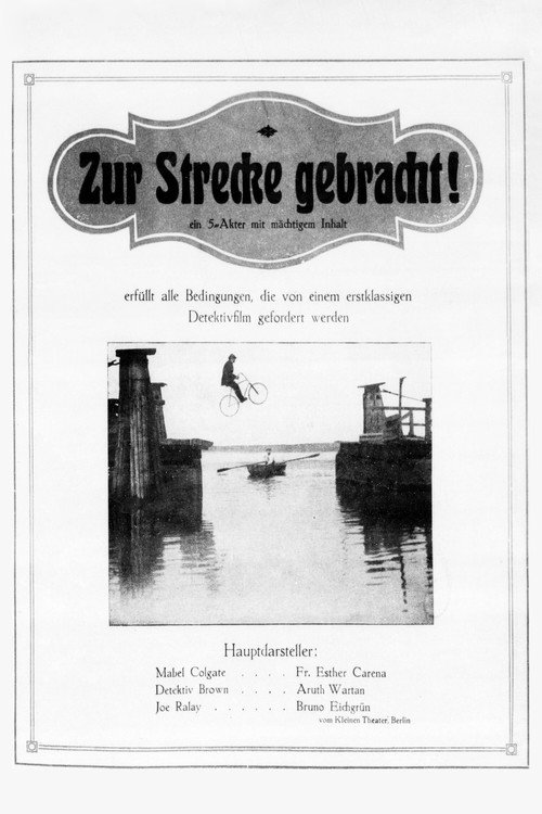 Movie poster for Zur Strecke gebracht (1917)