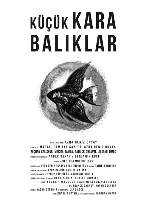 Movie poster for Little Black Fishes (2013)