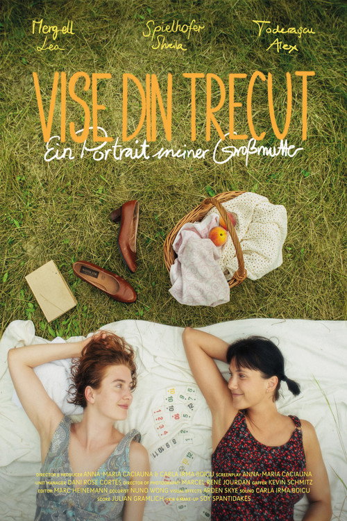 Movie poster for Vise Din Trecut - A portrait of my grandmother