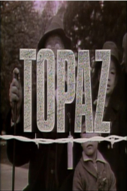 Movie poster for Topaz (1987)