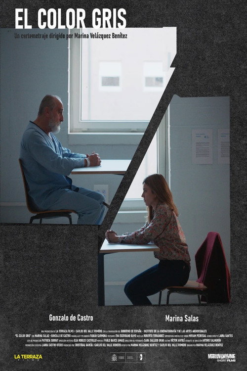 Movie poster for El color gris (2025)