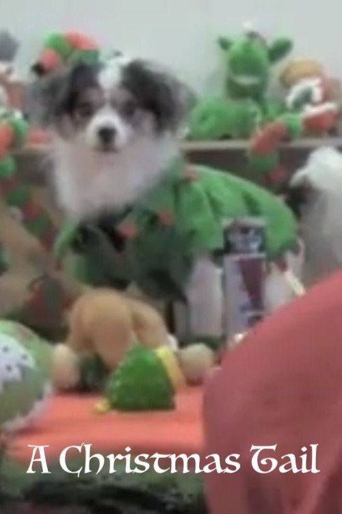 Movie poster for A Christmas Tail (2011)