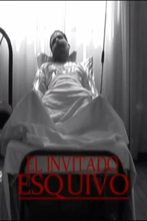 Movie poster for El Invitado Esquivo (2008)
