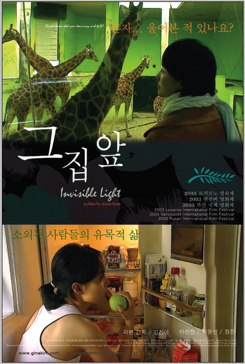 Movie poster for Invisible Light (2003)