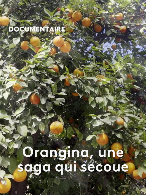 Movie poster for Orangina, une saga qui secoue (2024)