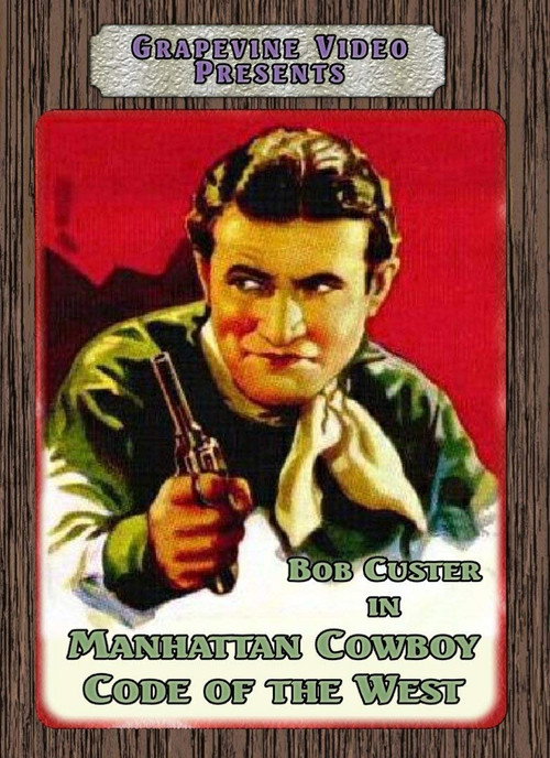 Movie poster for Code of the West (1929)