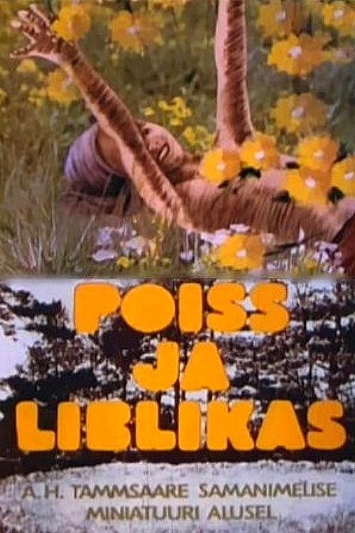 Movie poster for The Boy and the Butterfly (1978)