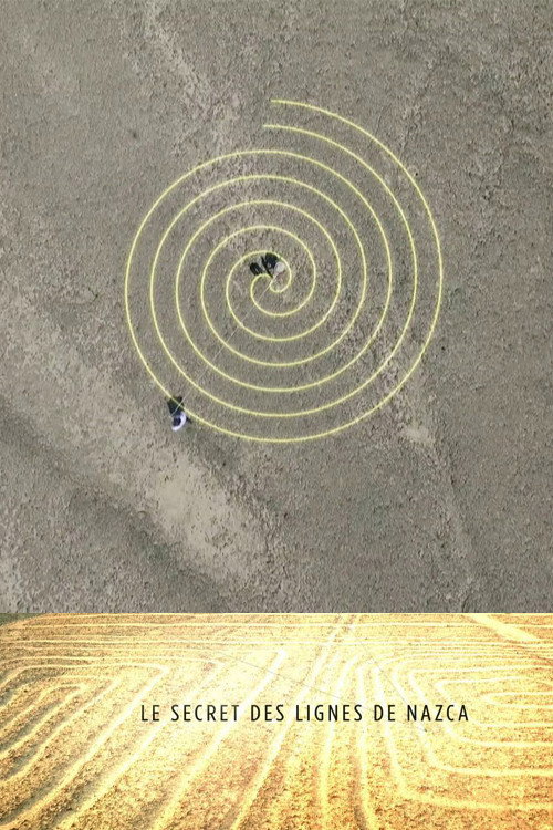 Movie poster for Le secret des lignes de Nazca (2016)