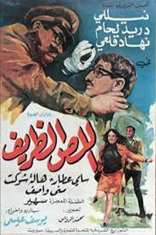 Movie poster for The Adorable Thief (1970)