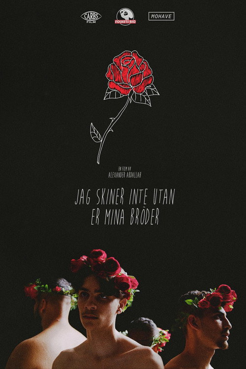 Movie poster for Can't Shine Without You My Brother (2019)