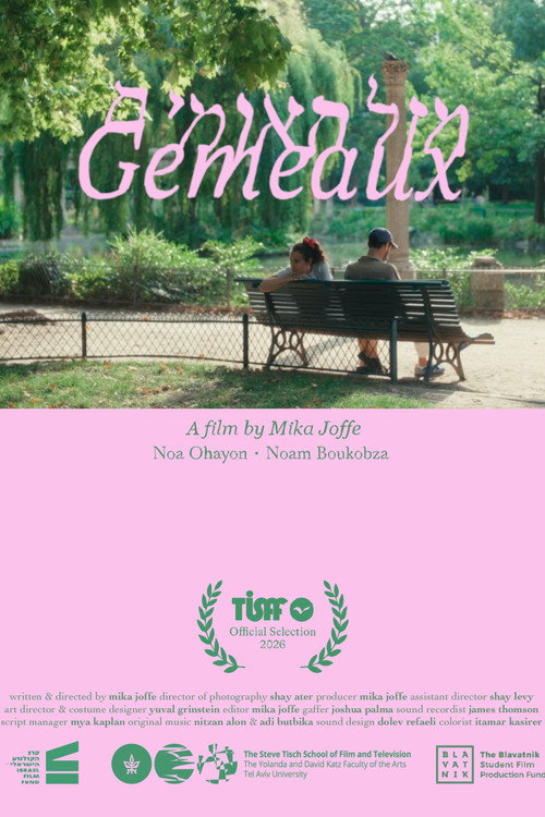 Movie poster for Gémeaux (2026)