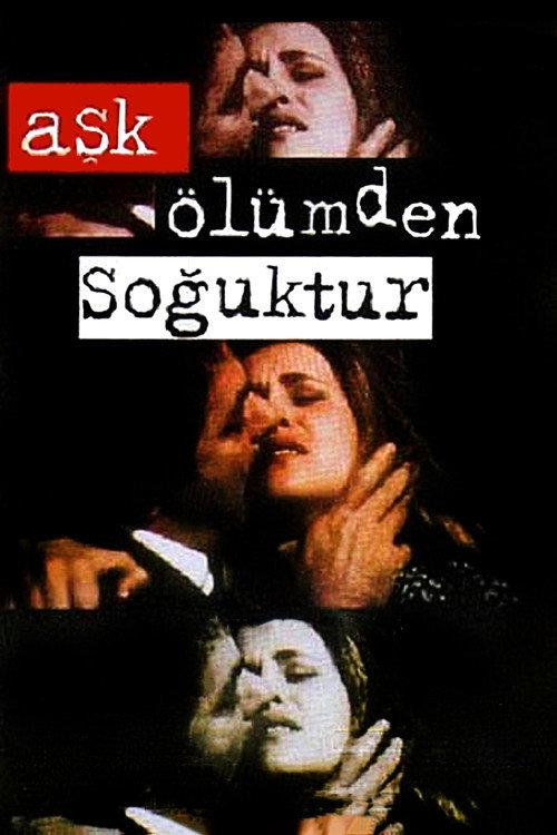 Movie poster for Love is Colder Than Death (1995)