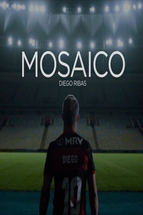 Movie poster for Mosaic (2020)