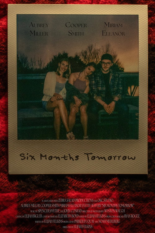 Movie poster for Six Months Tomorrow