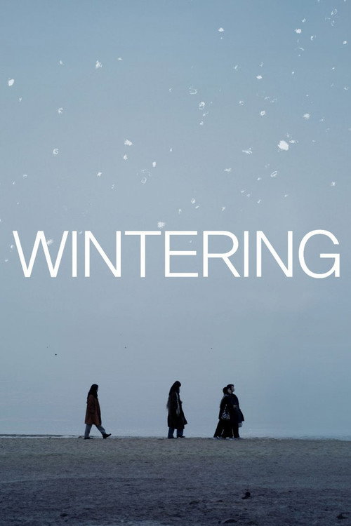 Movie poster for Wintering (2024)
