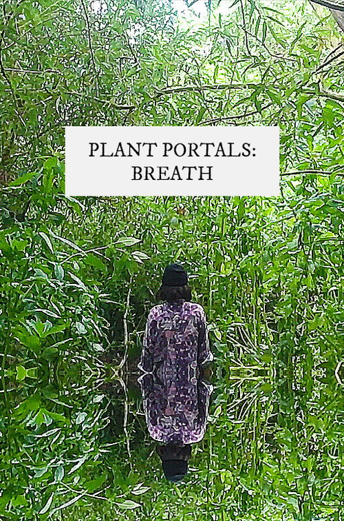 Movie poster for plant portals: breath (2020)
