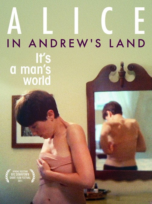 Movie poster for Alice in Andrew's Land (2011)